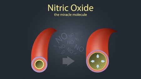 اکسید نیتریک مولکولی که به طور طبیعی توسط بدن شما تولید می‌شود (بیتوته)