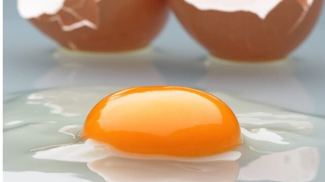 هر انسان سالم در روز چندتا تخم مرغ می‌تواند بخورد (عصرترکیه)