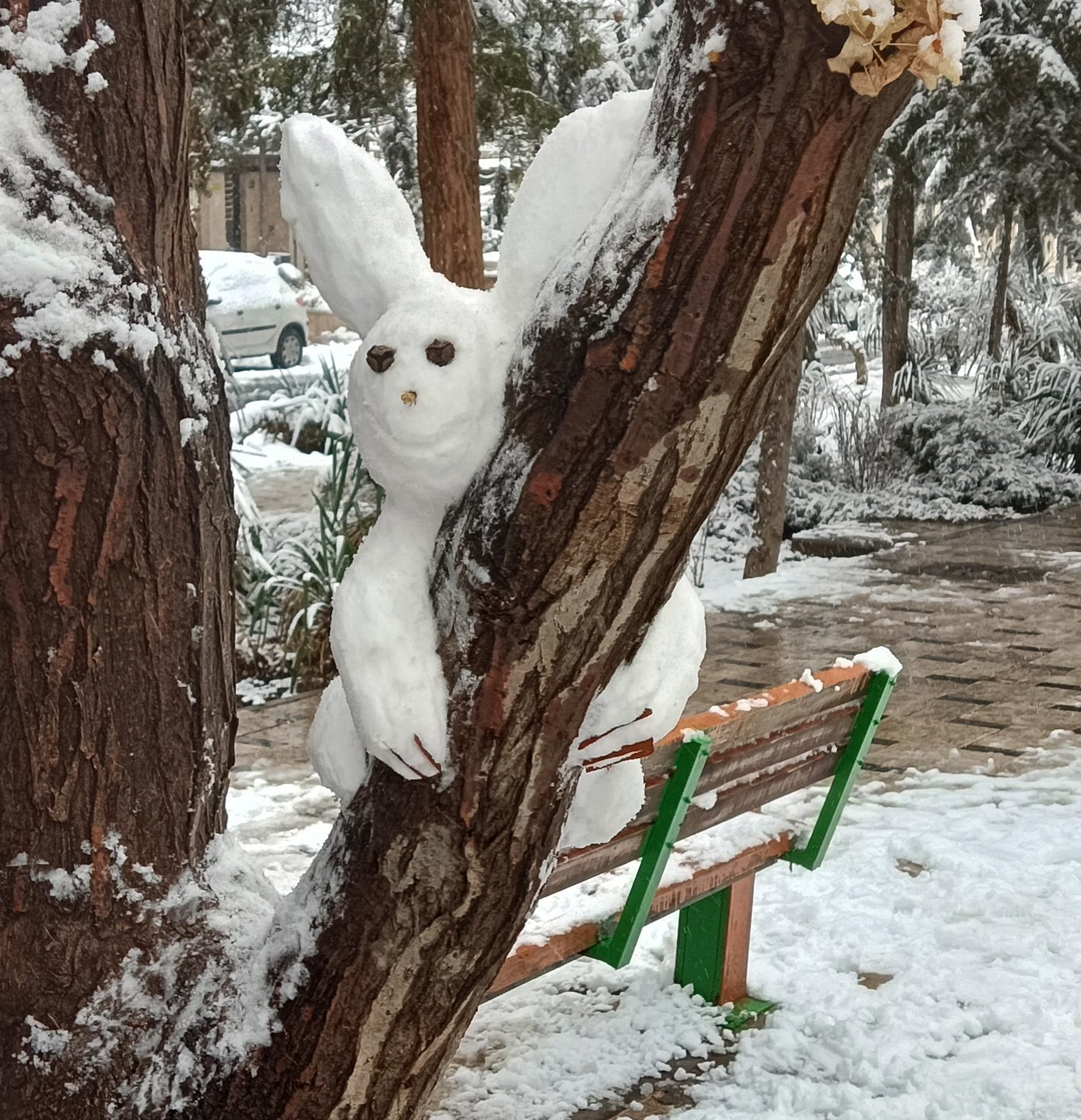 اوج هنر و خلاقیت در حال و هوای زمستانیِ تهران!