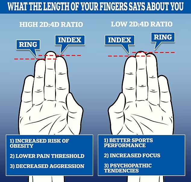 طول انگشتان شما در مورد شخصیتتان چه می گوید؟