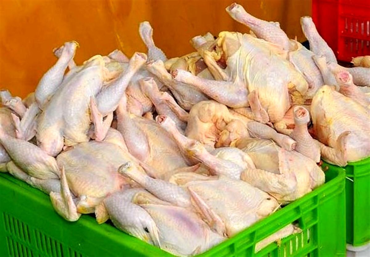 ترفندهای تلخ مردم تهران برای خرید مرغ و گوشت