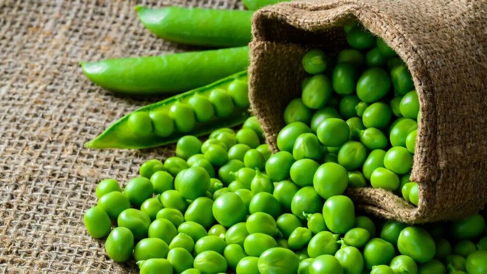 معرفی ۸ سبزی مفید برای کاهش وزن (موبنا)