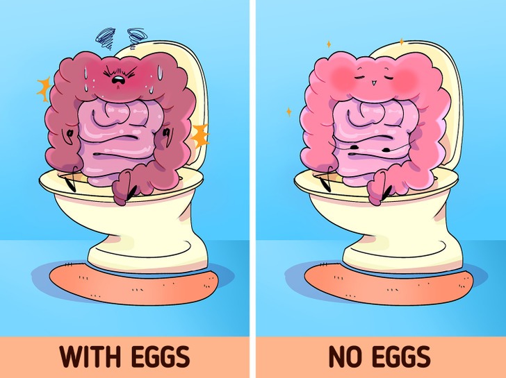 اگر تخم مرغ را از رژیم غذایی خود حذف کنیم چه اتفاقی برای بدن مان رخ می‌دهد؟ (روزیاتو)
