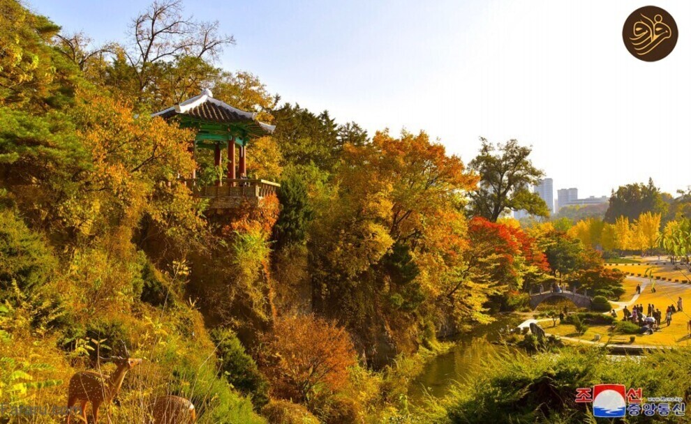 زیبایی‌های چشم‌نواز پاییز در ترسناک‌ترین کشور دنیا (فرارو)
