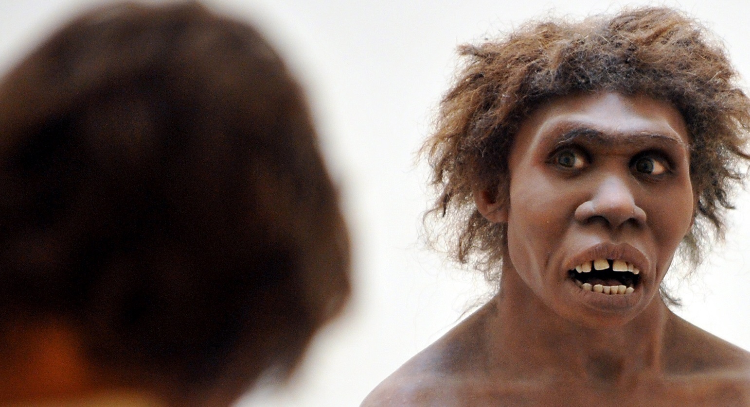 چهره پیرمرد نئاندرتال پس از ۵۰ هزار سال بازسازی شد (یک پزشک)