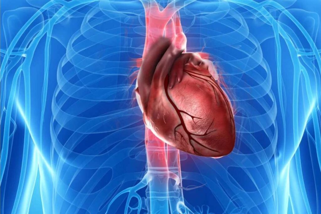 مهم‌ترین دلایل ابتلا به تومور قلبی و راه‌های درمان آن (خبرفوری)