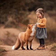 روباه زمانی بهترین دوست انسان بود