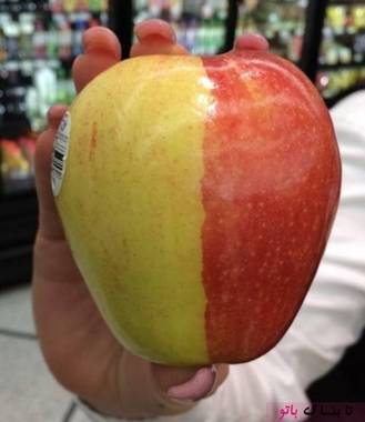 سیب دو رنگ قرمز و زرد