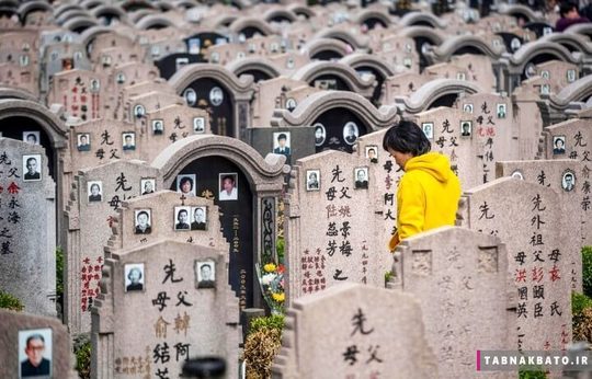 چین: زنی در میان قبرها گل می گذارد, روز معروف به جارو زدن قبرها, شانگهای