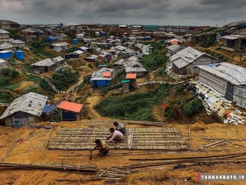 بنگلادش: پناهندگان روهینگیایی در استان اوخیا در حال ساخت خانه های موقت با چوب های بامبو