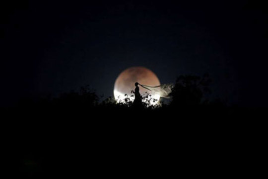یک عروس هنگام ماه گرفتگی در برازیلیا