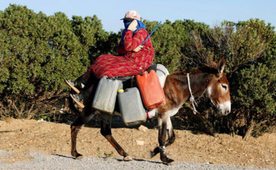 یک زن سوار بر الاغ و بشکه های آب در حومه پایتخت تونس
