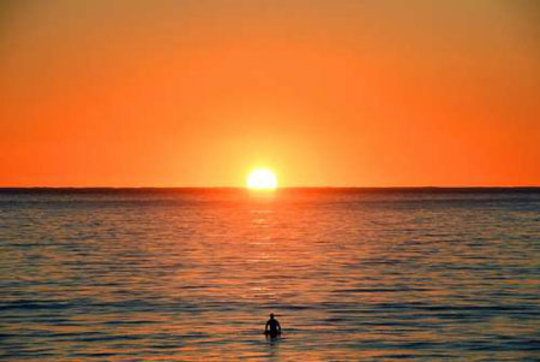 یک موج سوار منتظر امواج در ساحل شهر سیدنی استرالیا