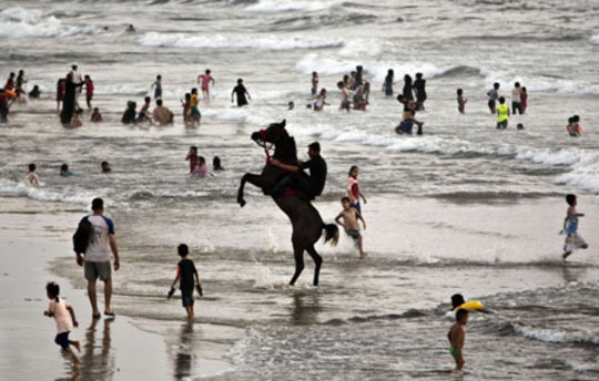 یک اسب سوار در میان دهها فلسطینی در ساحل غزه