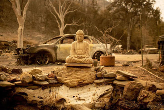 مجسمه بودا در یک خانه پس از آتش سوزی کالیفرنیا