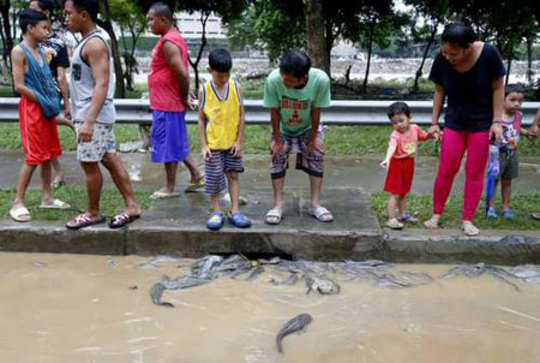 ماهی‌ها در کانال‌های شهری پس از توفان در شهر ماریکینا فیلیپین/ آسوشیتدپرس