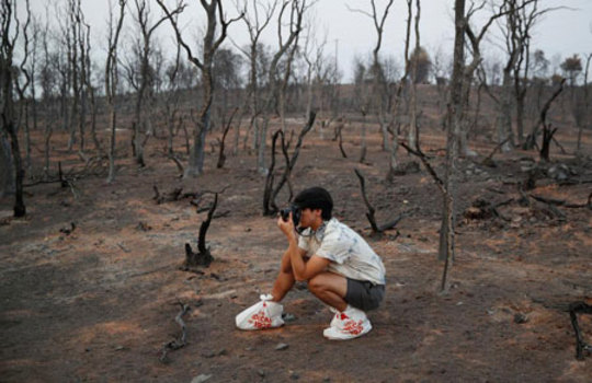 عکاسی در جنگل های سوخته کالیفرنیا