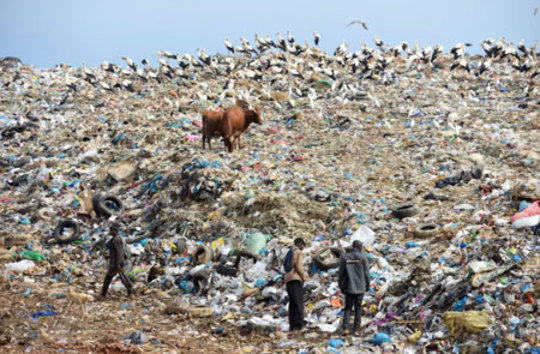 پناهجویان آفریقایی در محل انباشت زباله در مراکش به دنبال مواد غذایی