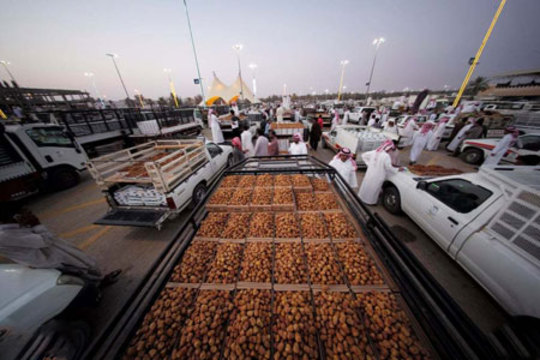 جشنواره خرما در قصیم عربستان