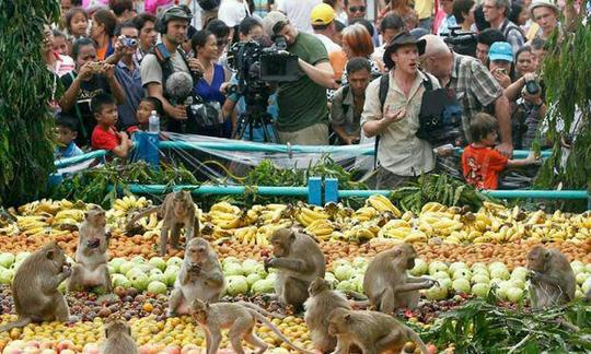 فستیوال بوفه ی میمون ها، تایلند
