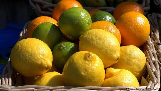 افسانه هفتم
مرکبات حاوی ویتامین C بسیاری هستند. این ادعا اشتباه است. البته درست است که پرتقال و لیمو دارای ویتامین C هستند، اما میزان ویتامین C در فلفل و جعفری بسیار بیشتر از این میوه‌ها است.