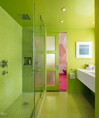 به دلیل استفاده از کاشی‌های سبز رنگ در قسمت مربوط به دوش در این حمام به نظر می‌رسد که انفجاری از رنگ در آن قسمت اتفاق افتاده اســت.
