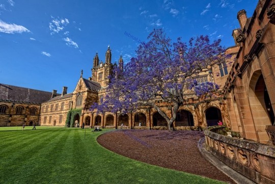 دانشگاه سیدنی، استرالیا