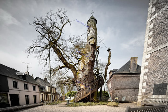 درخت بلوط با دو کلیسا درون آن، فرانسه
