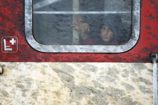 یک پناهجو در قطاری که از مقدونیه به یونان می‌رود نشسته است، نگاه محو و حیران آن قابل توجه است.