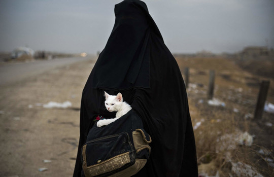 زن محجبه‌ای با گربه‌اش در هنگام فرار از موصل