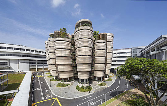 دانشگاه فنی نانیانگ سنگاپور یک شاهکار در معماری سبز است. از سقف این دانشگاه تا...