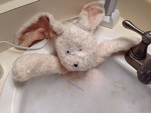 من یک پدر مجرد هستم و دخترم از من خواست که بانی خرگوشه را حمام کنم. دختر در خانه مادرش است و من هم این عکس را برایش فرستادم.