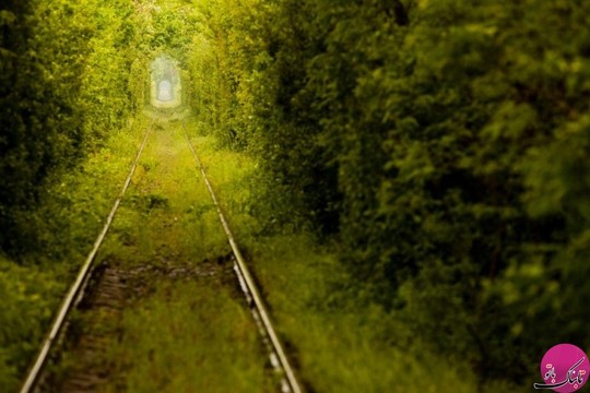 راه آهن معروف به تونل عشق، اوکراین