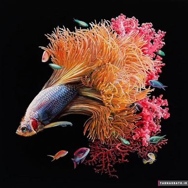 نقاشی های فوق واقعی از ماهی و مرجان