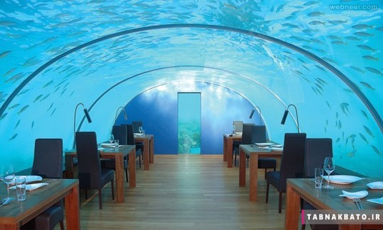 دکوراسیون و طراحی داخلی رستوران - Undersea Ithaa Maldives