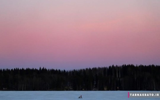 زنی در حال حمل کالسکه بچه بر روی دریاچه یخ زده، لاهتی، فنلاند