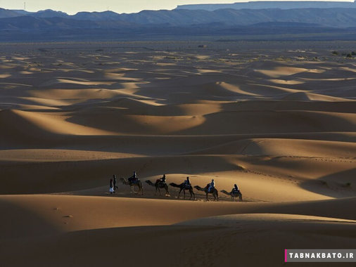 گردشگران سوار بر شتر، مغرب، منطقه مرزوقه، کوه های اطلس