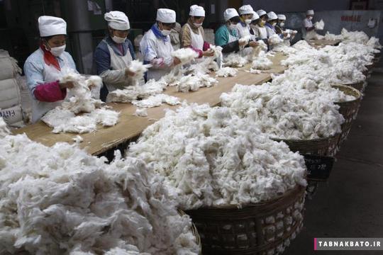 دسته‌بندی پنبه توسط کارگران در کارخانه نساجی در سوئینینگ استان سیچوان چین