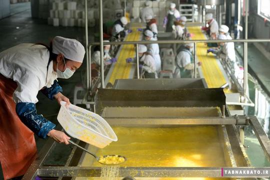 کارگران در حال کار در یک کارخانه‌ی صنایع غذایی در ییچانگ استان هوبی