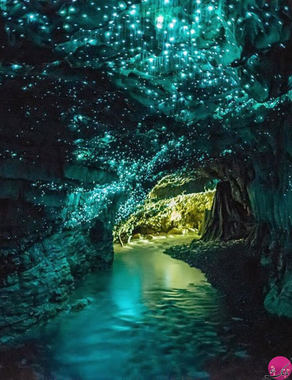غار کرم های شب تاب وایتمون، نیوزیلند