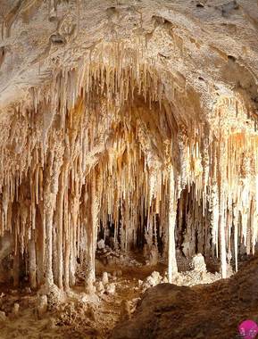 غار ملی کارلسباد، نیومکزیکو
