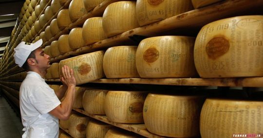 طبق قانون ایتالیا تنها پنیرهای پارمزانی که در استانهای رومانیا، پیمونت و تسکانا تولید می‌شوند اجازه دارند برچسب پارمیجانو را روی آن بزنند و طبق قانون اروپا، این مناطق منطقه حفاظت‌شده محسوب می‌شوند