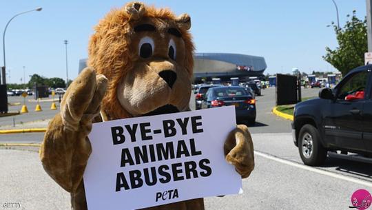 یک فعال دفاع از حقوق حیوانات از این تصمیم ابراز خشنودی می کند: خداحافظ سوء استفاده کنندگان از حیوانات