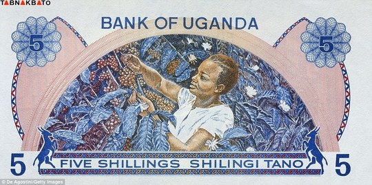 اسکناس ۵ شلن (شیلینگ) اوگاندا که در سال ۱۹۸۰ صادر شده است