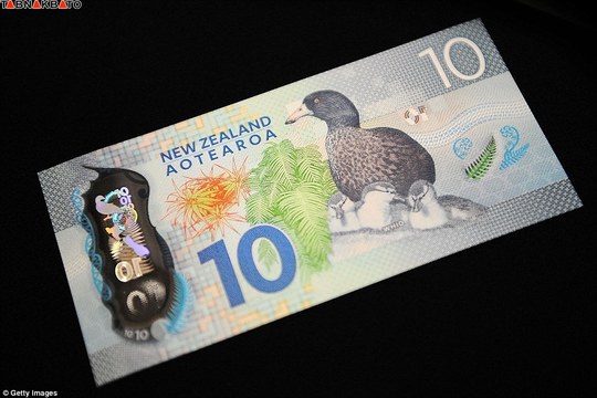 ده دلاری جدید نیوزیلند