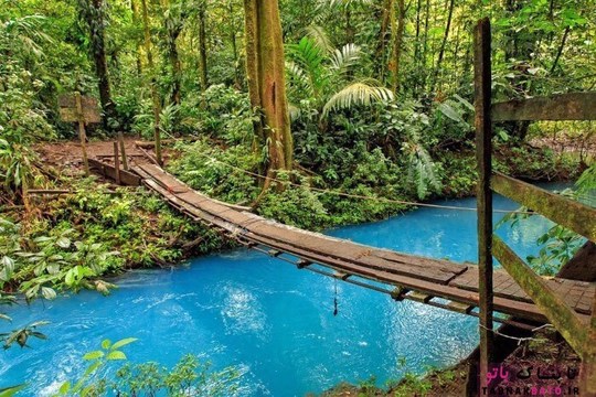 رودخانه ای در کاستاریکا که به رنگ فیروزه ای شگفت انگیزش به شهرت رسیده است
