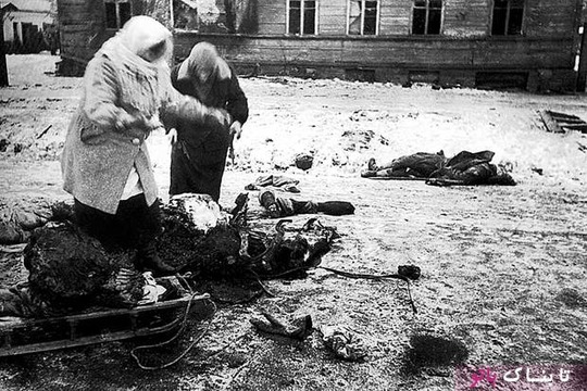 دو زن در حال جمع کردن بقایای یک اسب مرده برای خوردن