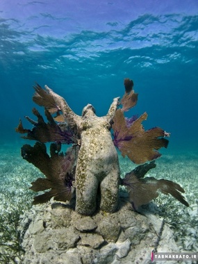 مجسمه ای خیال انگیز در اعماق دریا