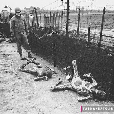 سرباز آمریکایی در کمپ بوچلواند در کنار جسد سربازان نازی