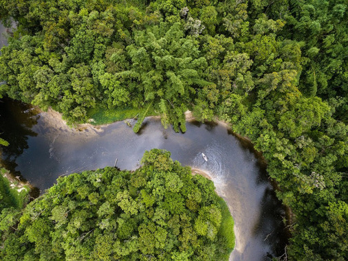 این هم عکسی دیدنی از رودخانه آمازون دقیقا همان‌طور که فیلم‌ها نشان می‌دهند.